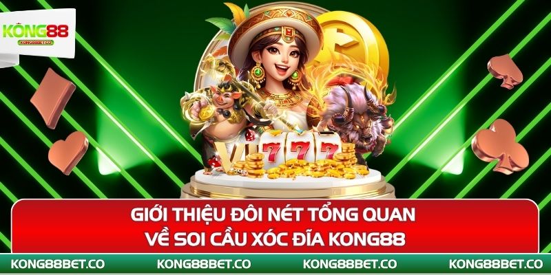 gioi thieu doi net tong quan ve soi cau xoc dia kong88